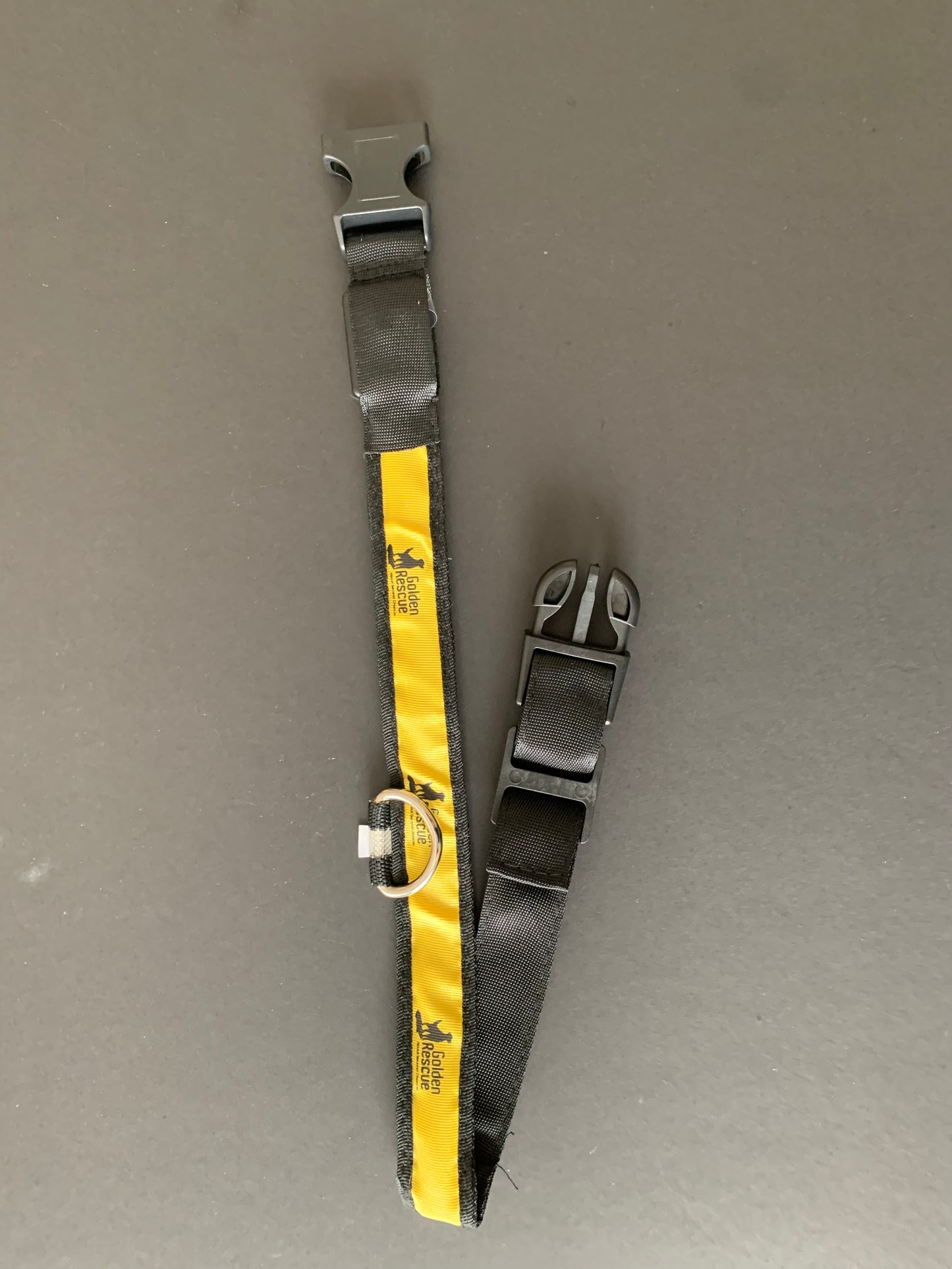 Leash & Collar