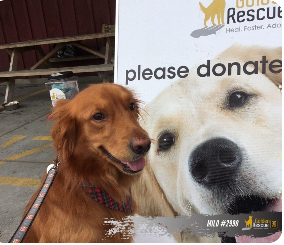 Donation