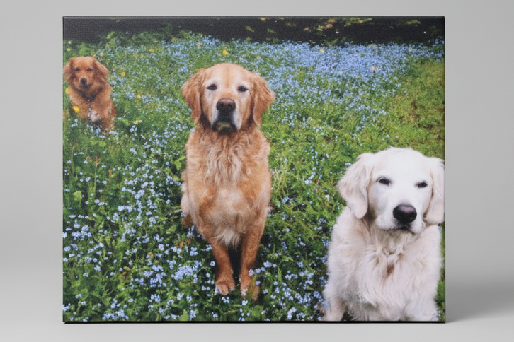 Canvas (Gallery) - Personalized