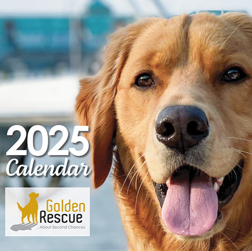 2025 Calendar