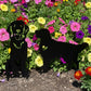 Two metal garden stakes in a garden, one in the shape of a dog sitting and the other in a standing pose with a heart cut out.