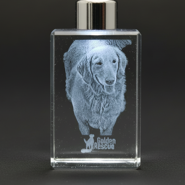 Clear glass 3D crystal keychain with engraved dog image and 'Golden Rescue' logo on a black background